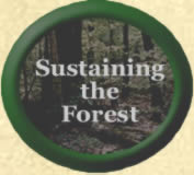 Sustaining the Forest