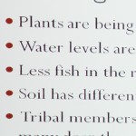 AIAN Climate Change Working Group 155 AIAN Climate Change Working Group 155
