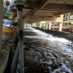 11138166_10203869766530098_8639466663014505538_n